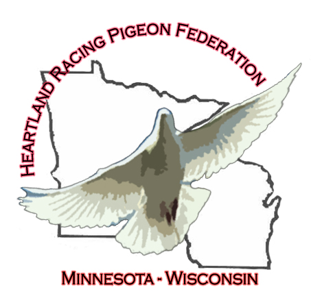 racing pigeon logo